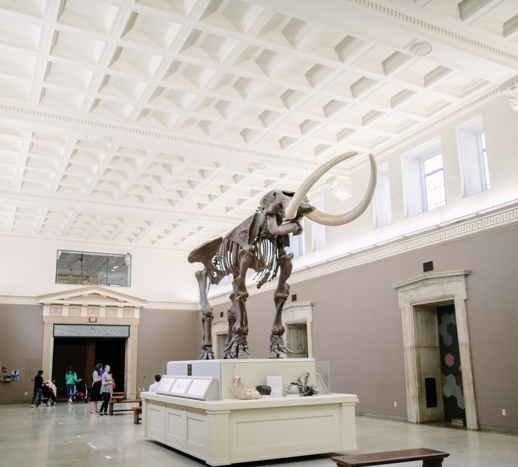 buffalo-museum-of-science-photo